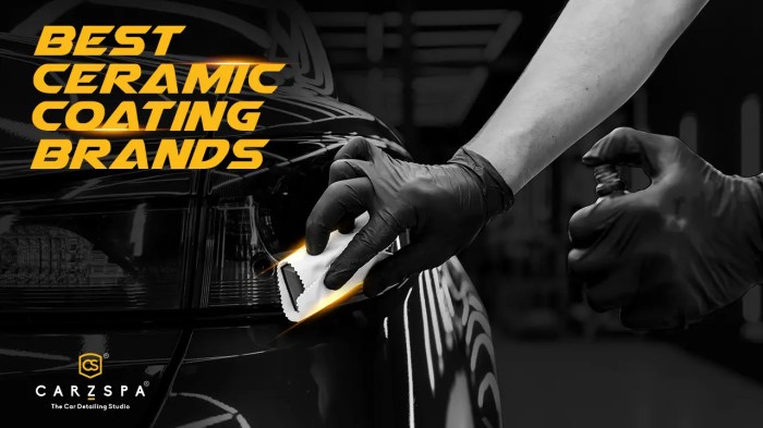 Ceramic coating – Artofit Ceramic coating – Artofit
