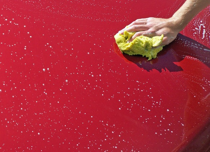 Car design trends