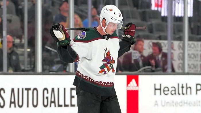 Boston Bruins Acquire Rights to Victor Soderstrom From Chicago ... Auto climate control
